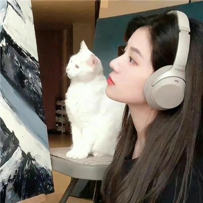 肚假情真